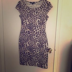 Printed Dress